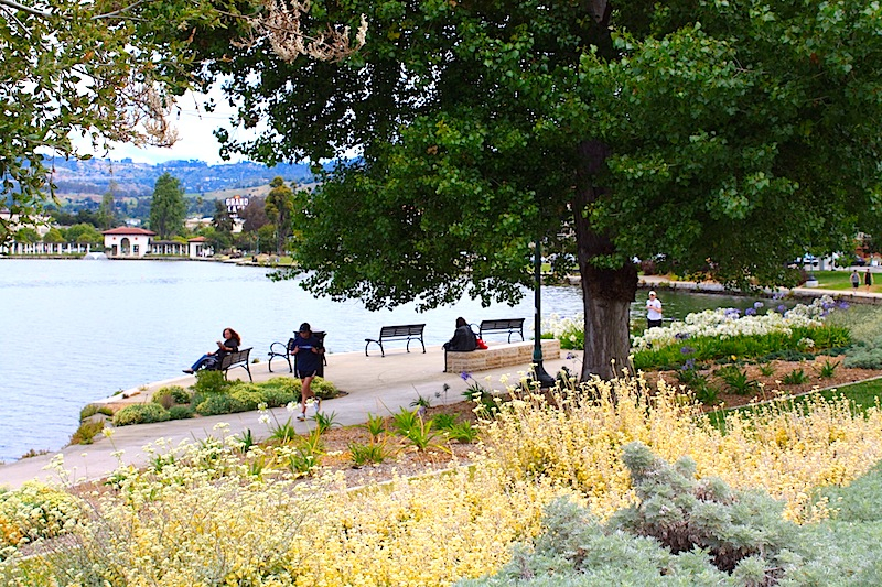 a view of Lake Merritt Park and scenery